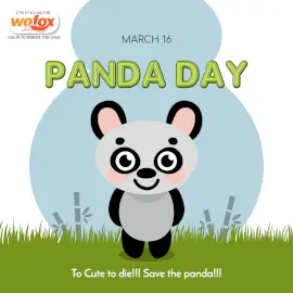 Online Editable Panda Day March 16 Social Media Post