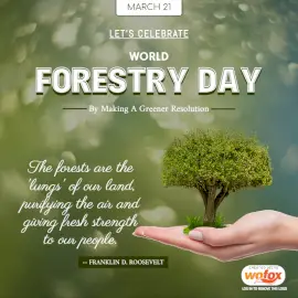 Online Editable World Forestry Day March 21 Social Media Post