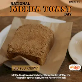 Online Editable National Melba Toast Day March 23 Instagram Post