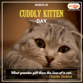 Online Editable Cuddly Kitten Day March 23 Instagram Post