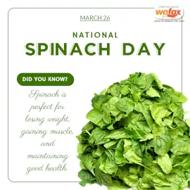 Online Editable National Spinach Day March 26 Social Media Post