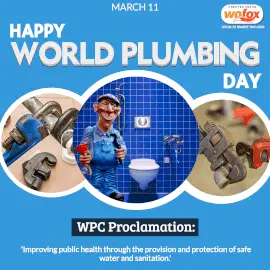 Online Editable World Plumbing Day March 11 Instagram Post