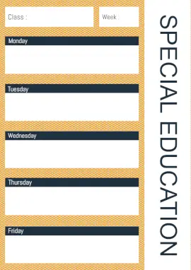 Online Editable Special Education Weekly Lesson Plan