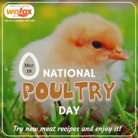 Online Editable National Poultry Day March 19 Instagram Post