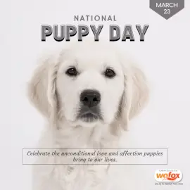 Online Editable National Puppy Day March 23 Social Media Post