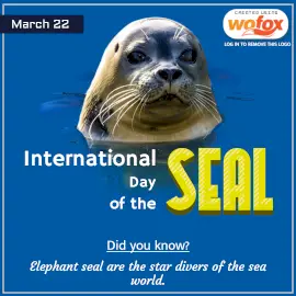 Online Editable International Day of the Seal March 22 Instagram Post