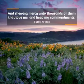Online Editable Bible - Verse Exodus 20:6 Instagram Post