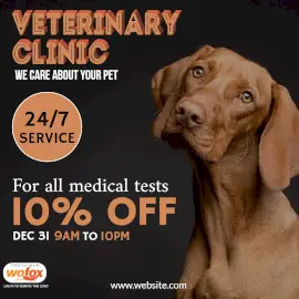 Online Editable 24/7 Veterinary Clinic Offer Instagram Post