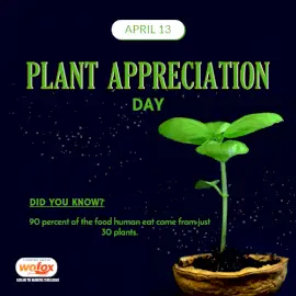 Online Editable International Plant Appreciation Day April 13 Social Media Post