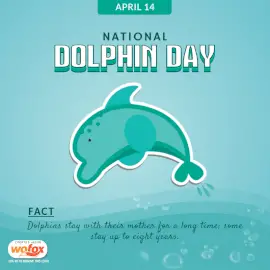 Online Editable National Dolphin Day April 14 Social Media Post