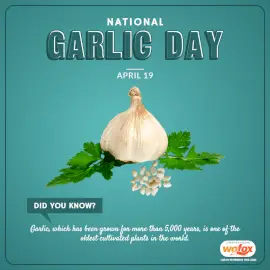 Online Editable National Garlic Day April 19 Social Media Post