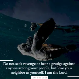 Online Editable Bible Verse Leviticus 19:18 Instagram Post