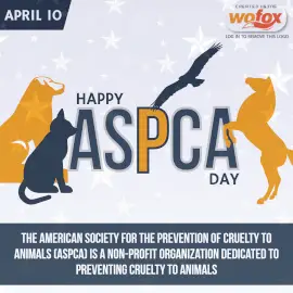 Online Editable American Society for the Prevention of Cruelty to Animals Day (ASPCA) April 10 Instagram Post