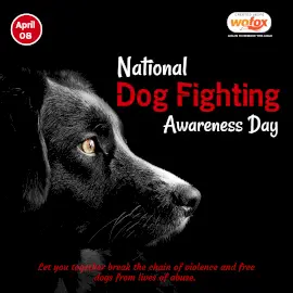 Online Editable National Dog Fighting Awareness Day April 8 Instagram Post Online Editable National Dog Fighting Awareness Day April 8 Instagram Post