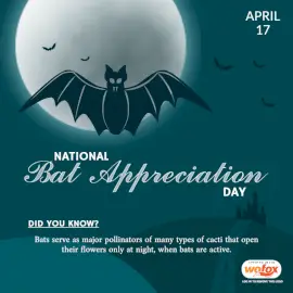 Online Editable National Bat Appreciation Day April 17 Social Media Post