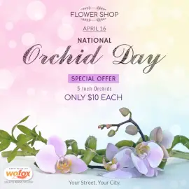 Online Editable National Orchid Day April 16 Social Media Post