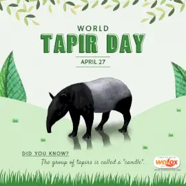 Online Editable World Tapir Day April 27 Social Media Post
