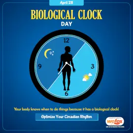 Online Editable Biological Clock Day April 28 Social Media Post