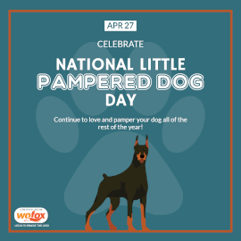 Online Editable National Little Pampered Dog Day Wishes Instagram Post