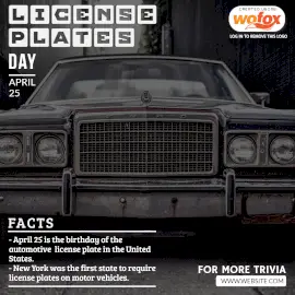 Online Editable License Plates Day Awareness Facts Instagram Post