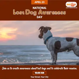 Online Editable National Lost Dog Awareness Day April 23 Instagram Post