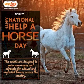 Online Editable National Help A Horse Day April 26 Instagram Post