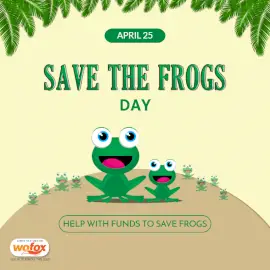 Online Editable Save the Frogs Day Social Media Post