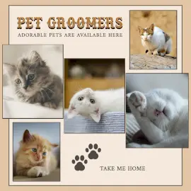 Online Editable Cat Grooming 5 Photo Collage