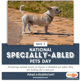 Online Editable National Specially-abled Pets Day May 3 Instagram Post