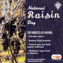 Online Editable National Raisin Day Benefits April 30 Instagram Post