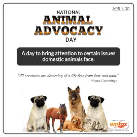 Online Editable National Animal Advocacy Day April 30 Instagram Post