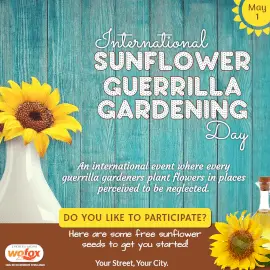 Online Editable International Sunflower Guerrilla Gardening Day May 1 Instagram Post