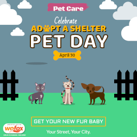 Online Editable National Adopt a Shelter Pet Day April 30 Instagram Post