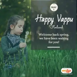 Online Editable Vappu in Finland May 1 Instagram Post