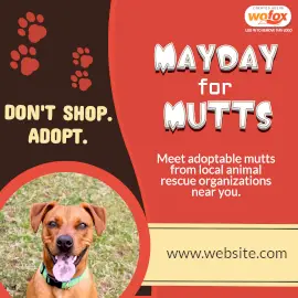 Online Editable Mayday for Mutts Instagram Post