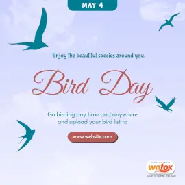 Online Editable Bird Day in the United States May 4 Social Media Post