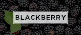 Online Editable Dark Blackberry Facebook Cover