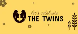 Online Editable Let's Celebrate The Twins Facebook Cover