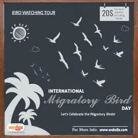Online Editable International Migratory Bird Day Social Media Post