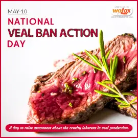 Online Editable National Veal Ban Action Day Instagram Post