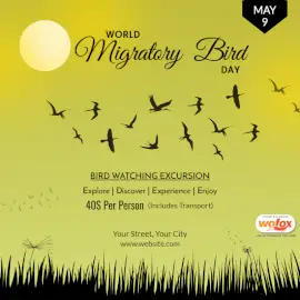 Online Editable World Migratory Bird Day Social Media Post