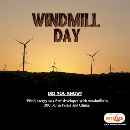 Online Editable Windmill Day Social Media Post