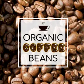 Online Editable Organic Coffee Beans Etsy Shop Icon