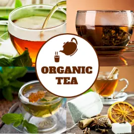 Online Editable Types of Green Tea Etsy Shop Icon
