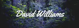 Online Editable Desaturated Blue Personalized Tumblr Banner