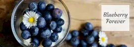 Online Editable Blueberry Forever Tumblr Banner