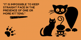Online Editable Animal Quotes Twitter Post