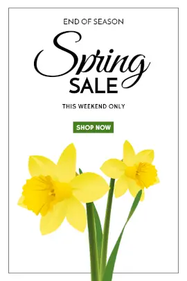 Online Editable White Spring Sale Tumblr Graphic