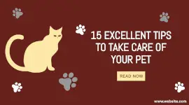 Online Editable Tips to Take Care of Your Pet Facebook App Ad