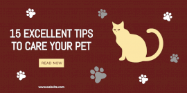 Online Editable Tips To Take Care Of Your Pet Twitter Post